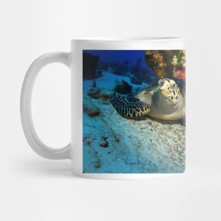 Hawksbill Turtle Under A Coral Ledge Mug